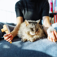 Pet Flea Comb - Sale💥