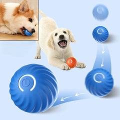 Rolling Ball Dog Toy-Sale