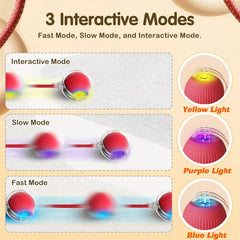 BounceTug Play Ball - Sale✨